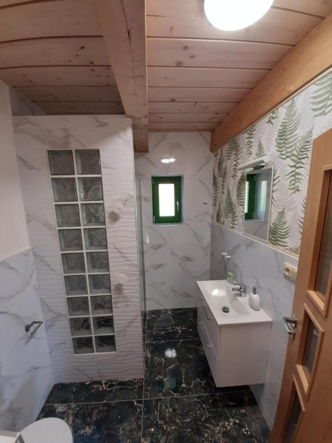 Zeleny Jelen - Horsky Apartment Stachy